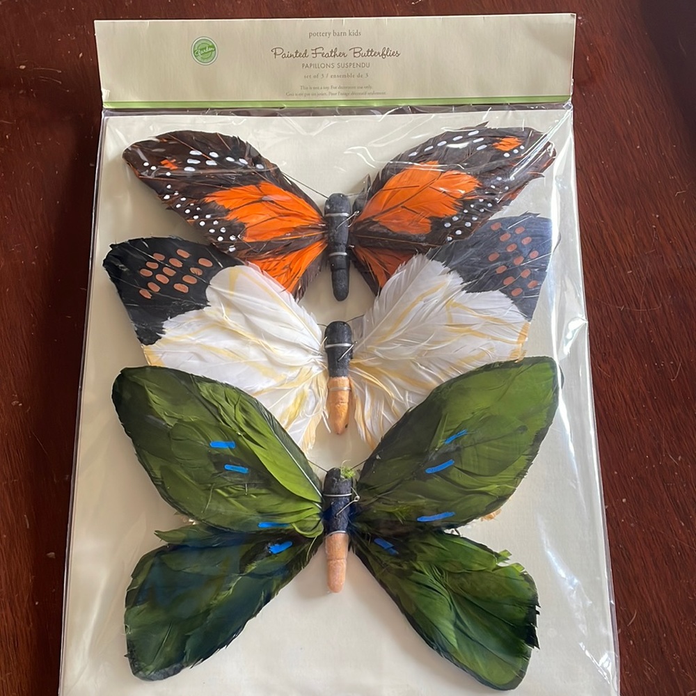 Pottery barn kids painted feather butterflies